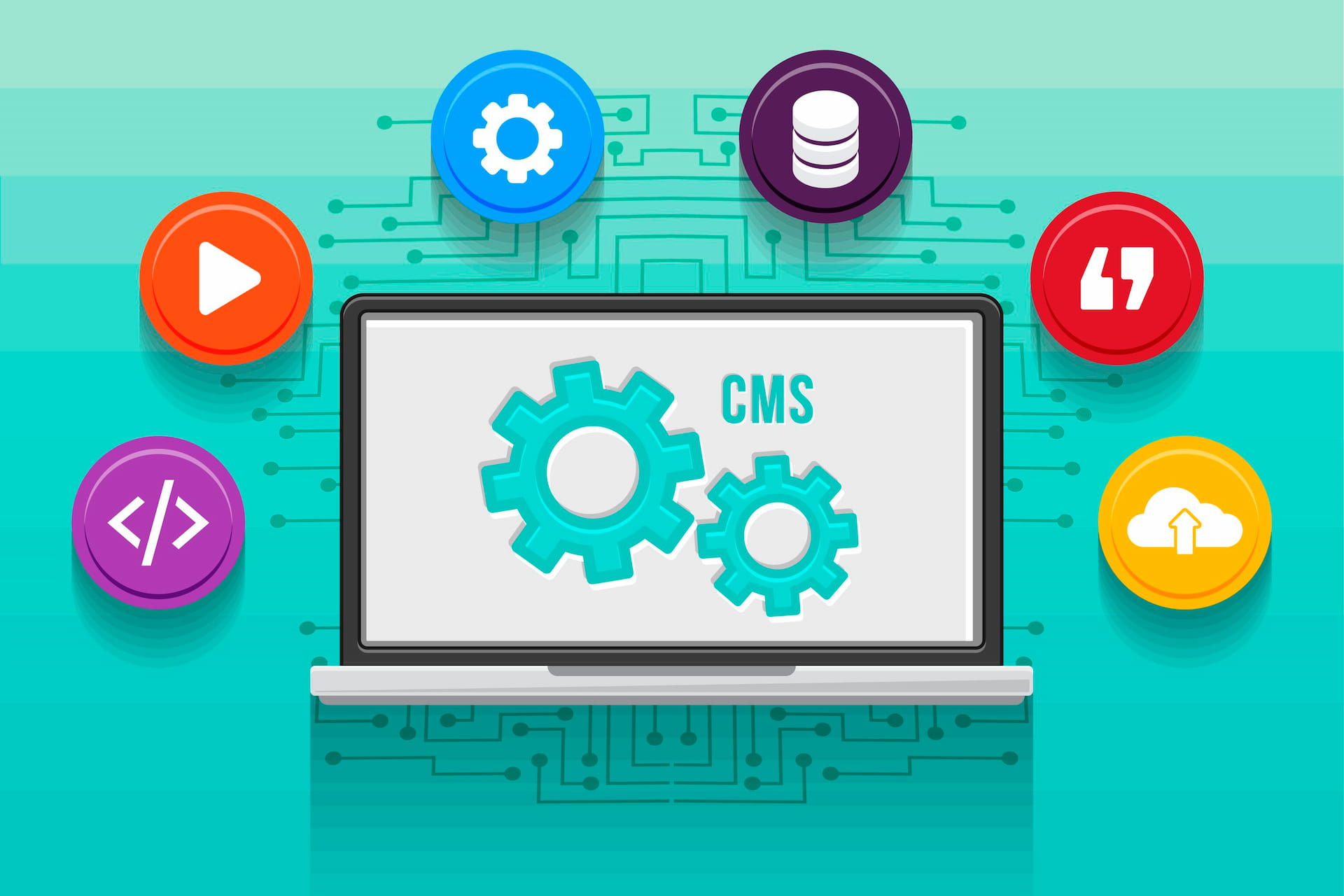 The Role of Headless CMS in Modern Web Development